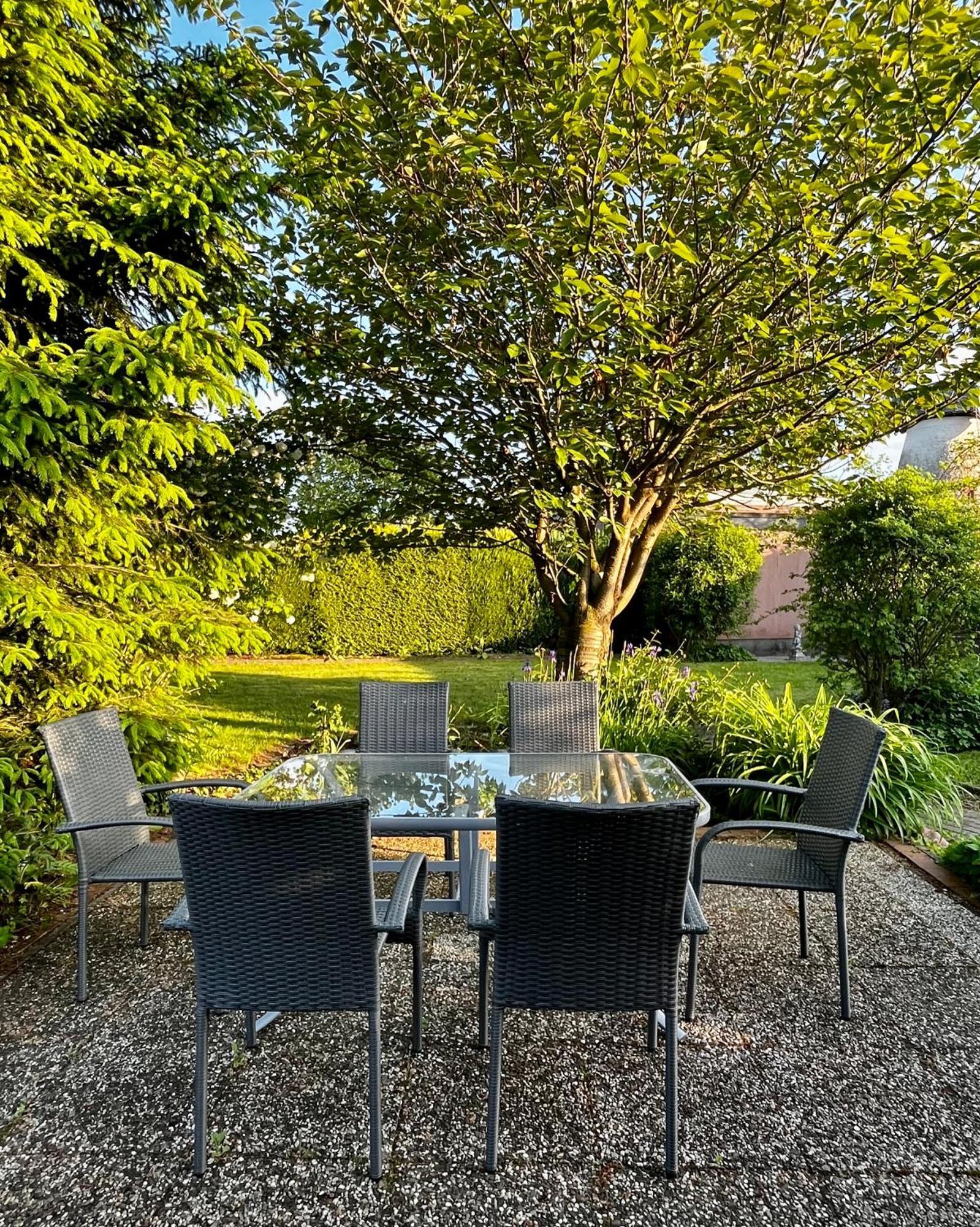 Ferienhaus Windmuehlenweg Mit Grossem Sonnigen Garten -Neu- Spenge Eksteriør billede